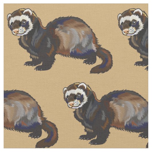 Ferret (Mustela putorius furo) Stoff (Nahaufnahme)