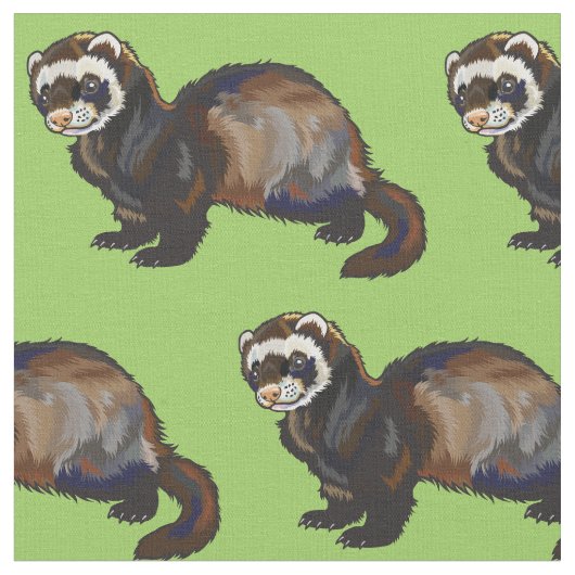 Ferret (Mustela putorius furo) Stoff (Nahaufnahme)