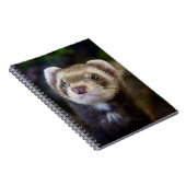 Ferret Notizblock (Rechte Seite)