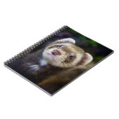 Ferret Notizblock (Linke Seite)
