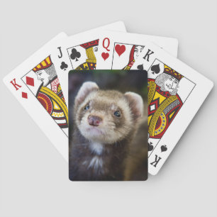 Ferret playing cards spielkarten