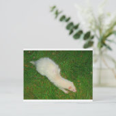 Ferret Postkarte (Stehend Vorderseite)