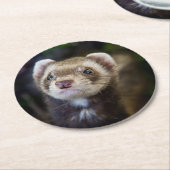 Ferret Runder Pappuntersetzer (Angewinkelt)