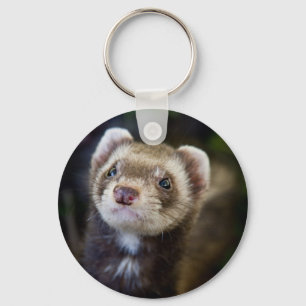 Ferret Schlüsselanhänger