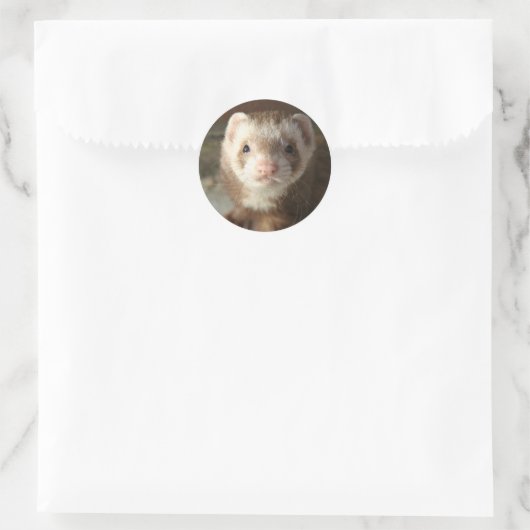 Ferret Sticker nah-up (Tasche)