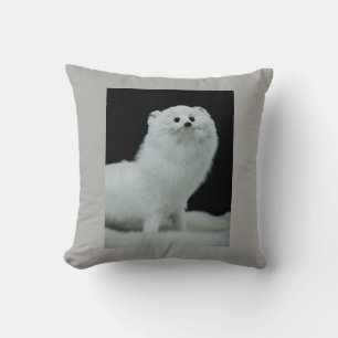Ferret Taxidermy Mount & Anti-Fur-Handelsangebot Kissen