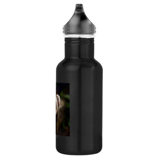 Ferret Trinkflasche (Rechts)