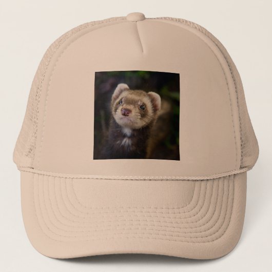 Ferret Truckerkappe (Vorderseite)
