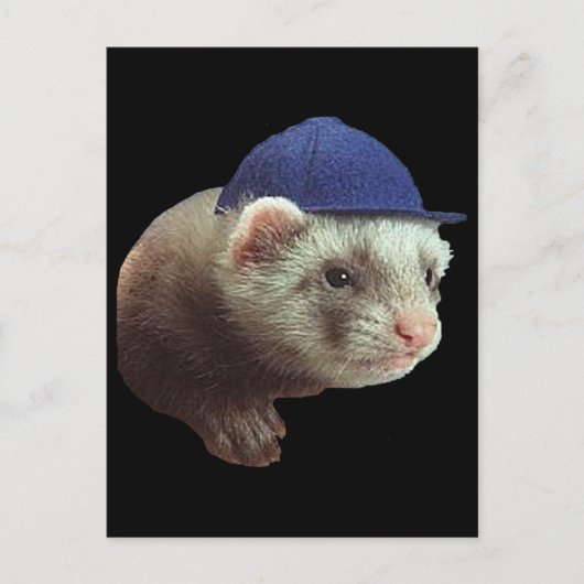 Ferret Wearing Hat Postkarte (Vorderseite)