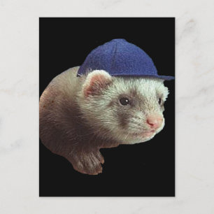 Ferret Wearing Hat Postkarte