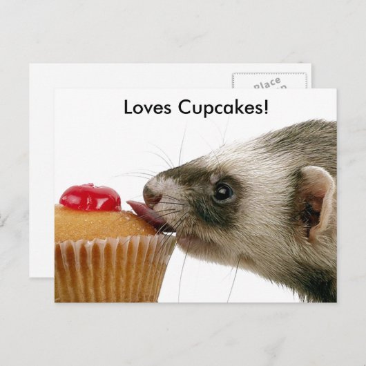Ferrets Liebe Cupcakes Postkarte (Vorne/Hinten)