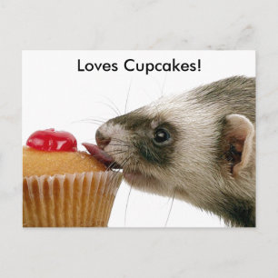 Ferrets Liebe Cupcakes Postkarte