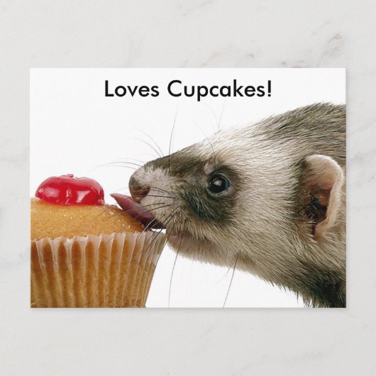 Ferrets Liebe Cupcakes Postkarte (Vorderseite)