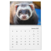Ferrets Wall Calendar Kalender (Jan 2027)