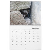 Ferrets Wall Calendar Kalender (Mär 2027)