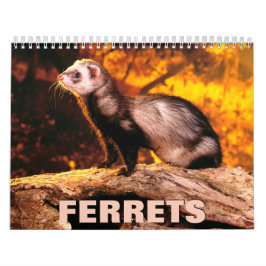 Ferrets Wall Calendar Kalender