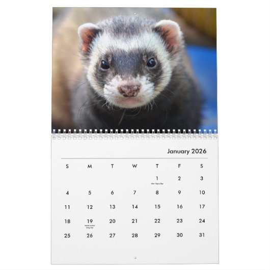 Ferrets Wall Calendar Kalender (Jan 2026)