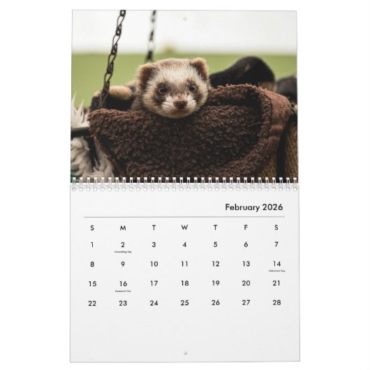 Ferrets Wall Calendar Kalender (Feb 2026)