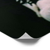 Ferris Buellers Day Off und Cameron und Print Poster (Ecke)