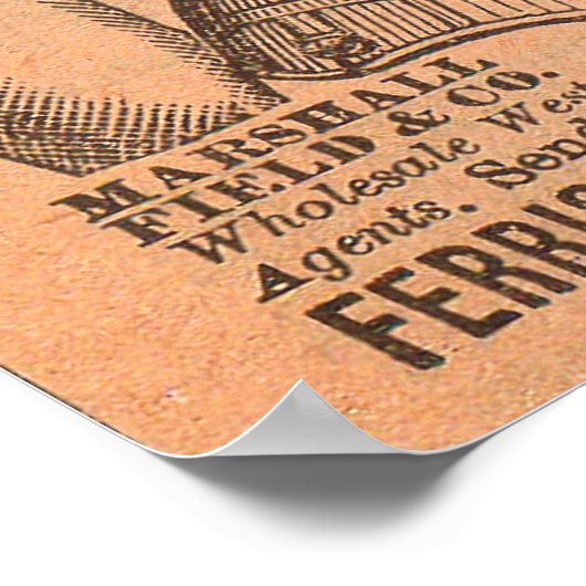 Ferris Common Sense Corsets ad 1880 Poster (Ecke)