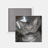 Ferris mewler Magnet (Vorderseite/Rückseite)