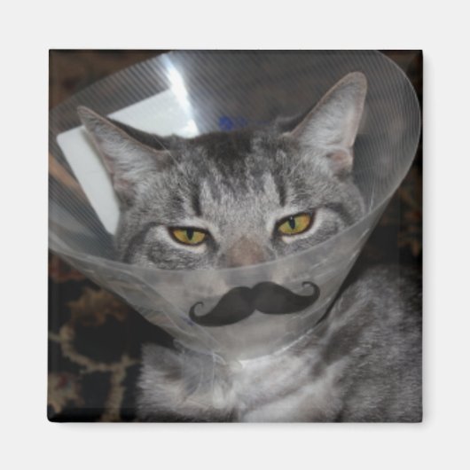 Ferris mewler Magnet (Vorne)