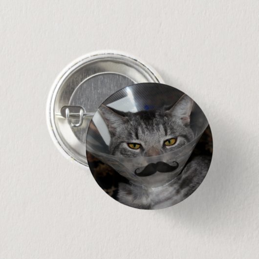 ferris mewler Schnurrbartknopf Button (Vorne & Hinten)