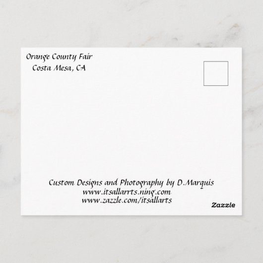 FERRIS WHEED Postkarte (Rückseite)