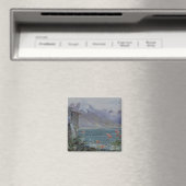 Ferritet, Genfer See, 1882 Magnet (In Situ (Geschirrspüler))