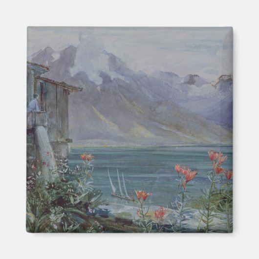 Ferritet, Genfer See, 1882 Magnet (Vorne)