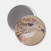 Ferruginous Hawk Magnet (Vorderseite/Rückseite)
