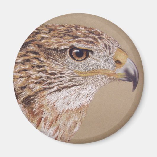Ferruginous Hawk Magnet (Vorne)