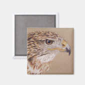 Ferruginous Hawk Magnet (Vorderseite/Rückseite)
