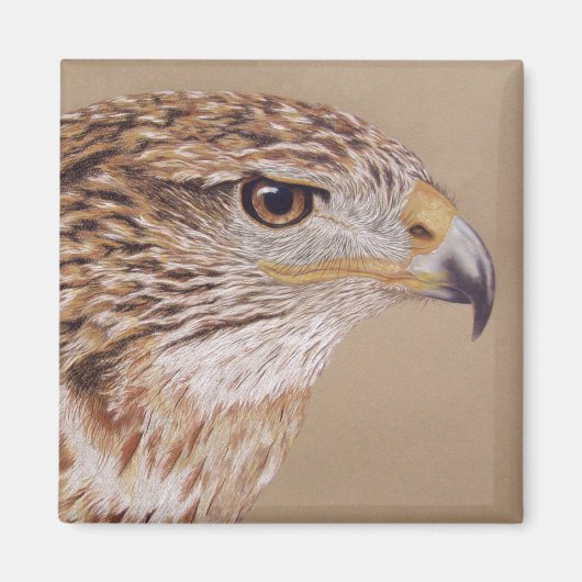 Ferruginous Hawk Magnet (Vorne)