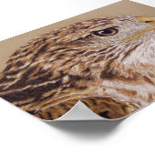 Ferruginous Hawk Poster (Ecke)