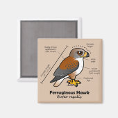 Ferruginous-Hawk-Statistik Magnet (Vorderseite/Rückseite)