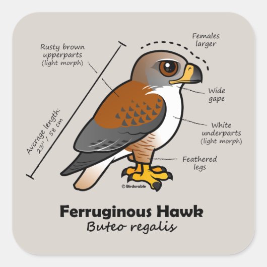 Ferruginous-Hawk-Statistik Quadratischer Aufkleber (Vorderseite)