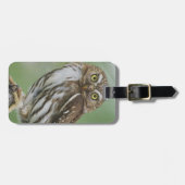 Ferruginous Pygmy-Owl, Glaucidium brasilianum, 3 Gepäckanhänger (Vorderseite horizontal)