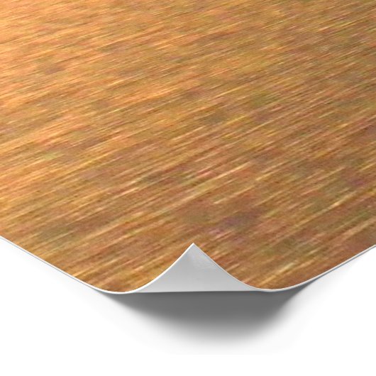 Ferry und Nebel Poster (Ecke)