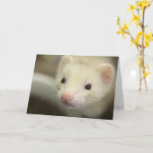 Fersenwand Karte (Gelbe Blume)