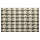 Fersenwand Stoff (Fat Quarter (45,7 x 55,9 cm))