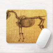 Fertige Studie Georges Stubbs | für das erste Mousepad (Mit Mouse)