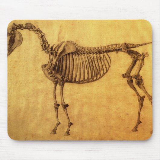 Fertige Studie Georges Stubbs | für das erste Mousepad (Vorne)