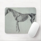 Fertige Studie Georges Stubbs | für das fünfte Mousepad (Mit Mouse)