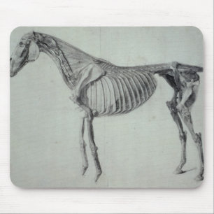 Fertige Studie Georges Stubbs   für das fünfte Mousepad