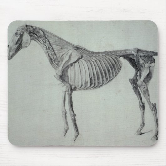 Fertige Studie Georges Stubbs | für das fünfte Mousepad (Vorne)
