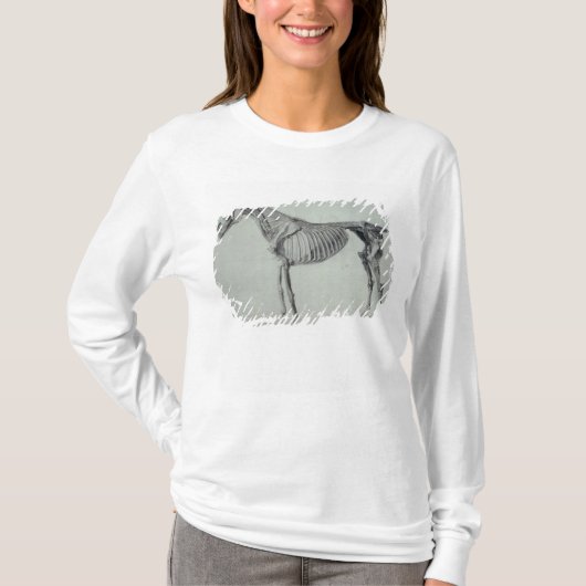 Fertige Studie Georges Stubbs | für das fünfte T-Shirt (Vorderseite)