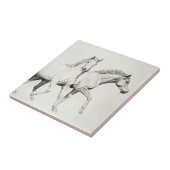 Fertigen Sie ein Pferd besonders an Fliese (Seite)