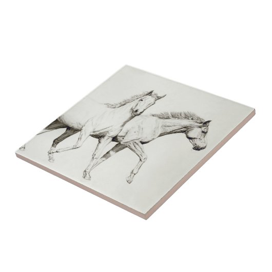 Fertigen Sie ein Pferd besonders an Fliese (Seite)