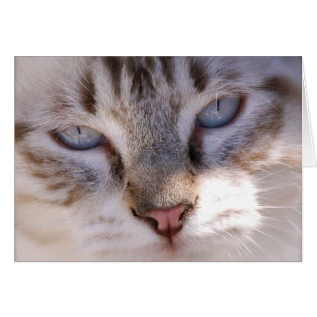 Fertigen Sie Ihre eigene Haustier-Karte besonders (Vorderseite (Horizontal))